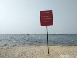 Kencan Singkat Xiaomi Mi A1 dan Vanka JKT 48