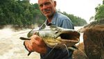 Foto: 7 Sungai yang Dihuni Ikan Monster