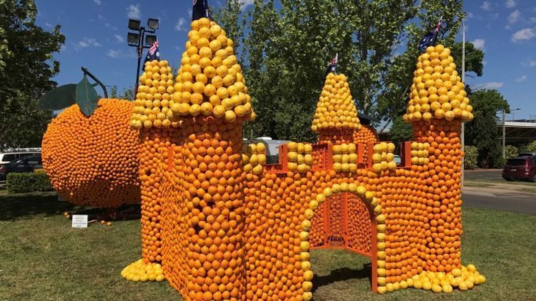 70 Patung Jeruk Raksasa Meriahkan Festival Musim Semi di Griffith NSW 70 Patung Jeruk Raksasa Meriahkan Festival Musim Semi di Griffith NSW