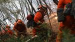 Epik! Aksi Heroik Petugas Damkar Jinakkan Api di California