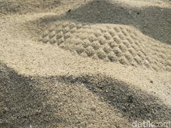 Kencan Singkat Xiaomi Mi A1 dan Vanka JKT 48