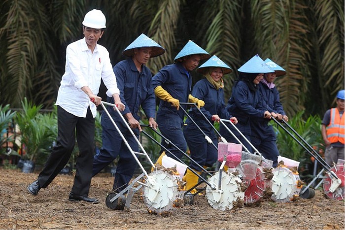 BNI Jadi Bank Pertama Biayai Peremajaan Kebun Sawit