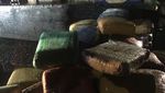 300 Kg Ganja Digagalkan Masuk ke Jakarta