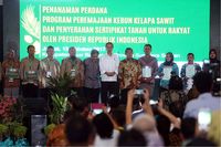 BNI Jadi Bank Pertama Biayai Peremajaan Kebun Sawit