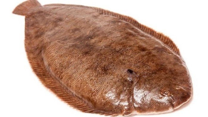 Pemancing Nyaris Tewas Setelah Ikan yang Diciumnya Loncat ke Mulut