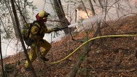 Petugas berupaya memadamkan kebakaran hutan di California. Jim Urquhart/Reuters.