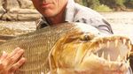 Foto: 7 Sungai yang Dihuni Ikan Monster