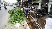 Pekerja menggali tanah di lokasi proyek pembangunan trotoar.