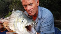 Selanjutnya yaitu Sungai Okavango, Botswana. Sungai ini dihuni oleh ikan monster bernama Tigerfish. Dinamakan demikian karena, giginya yang besar-besar dan runcing, sudah seperti gigi macan. Sudah begitu, Tigerfish yang hidup di Sungai Okavango bisa mencapai bobot lebih dari 10 kg (CNN Travel)