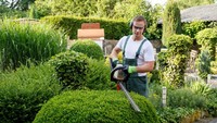 Tukang kebun bertanggung jawab menjaga vegetasi di suatu area apakah itu perumahan, taman, atau tempat lainnya. Mereka bisa bekerja dengan menggunakan alat-alat berat oleh sebab itu perlu fisik yang prima untuk mengoperasikannya.  Foto: Thinkstock