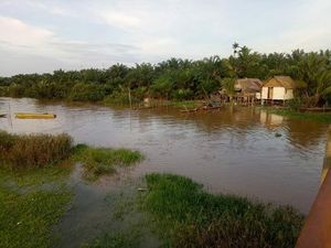 Mandi di Sungai, Bocah 8 Tahun Diserang Buaya di Banyuasin