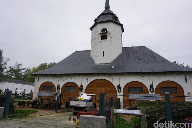 Pairi Daiza itulah nama kebun binatang yang berada di Brugelette, Brussels, Belgia ini. Untuk mencapai tempat ini dari pusat kota Brussels, dibutuhkan waktu satu jam berkendara. Dan kebun binatang ini letaknya cukup tersembunyi karena tidak cukup banyak papan petunjuk yang ditemukan untuk mengarah ke lokasi tersebut. Foto: Eny Kartikawati/Wolipop