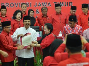 Diplomasi Bunga dan Gandrung Sewu di Balik Restu Mega untuk Anas