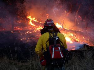 Nyaris Sepekan Padamkan Api di California