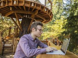 Begini Asyiknya Karyawan Microsoft Kerja di Rumah Pohon