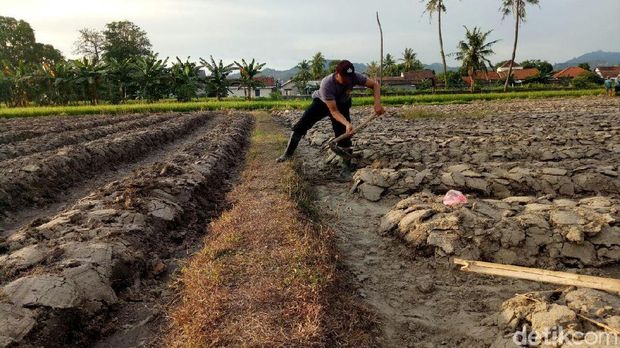 Ini Bripka Munif, Penyulap Lahan Tidur yang Dapat Pin Emas Kapolri