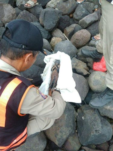 Begini Jenglot yang Ditemukan di Pantai Watu-watu Surabaya