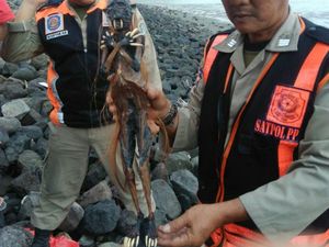 Muncul 1 Menit di Dapur Rumah Satpol, Jenglot Itu Berdiri Diam