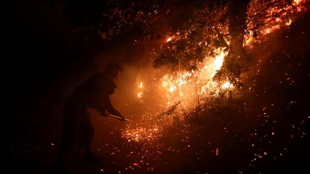 Kebakaran Hutan Landa Portugal dan Spanyol, 9 Orang Tewas