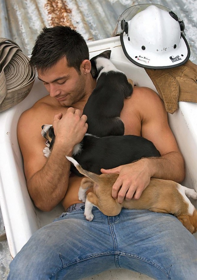 Kalender dirilis dalam tiga tema, petugas damkar pose dengan anak anjing; petugas damkar bersama hewan kebun binatang dan petugas damkar yang berpose seksi. Foto: Australian Firefighters Calendar