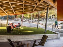 Begini Asyiknya Karyawan Microsoft Kerja di Rumah Pohon