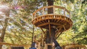 Orang-orang di sini tak percaya rumah pohon ini benar-benar akan dibuat. Sehingga mereka bergembira, kata Shanin Bernstine, Business Manager Microsoft yang turut merencanakan tempat rapat keren itu. (Foto: Dok. Microsoft)