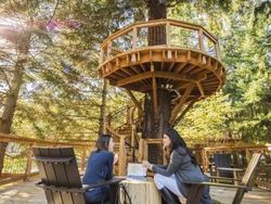 Begini Asyiknya Karyawan Microsoft Kerja di Rumah Pohon