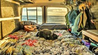 Pada bulan Februari 2017, Rich dan Willow telah berhasil mengunjungi 6 negara bagian dan 2 wilayah di Australia. Kaum milineal Australia menyebutnya Purrfect Eight. Keren! (vancatmeow/Instagram)