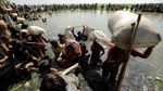Foto : Perjuangan Pengungsi Rohingya Melintasi Perbatasan Bangladesh