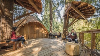 Microsoft memiliki sesuatu yang unik dibandingkan perusahaan lain yang berada di kota metropolitan. Yaitu berada di alam menghijau dan kehidupan liar, tulis Microsoft. (Foto: Dok. Microsoft)