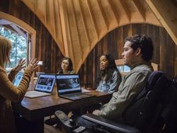 Begini Asyiknya Karyawan Microsoft Kerja di Rumah Pohon