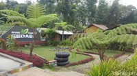 Batu warna-warni ini berada di lokasi yang dikelola oleh Sedaer River Tubing, sebuah operator wisata minat khusus yang dioperasikan oleh pemuda desa setempat (Aminudin/detikTravel)