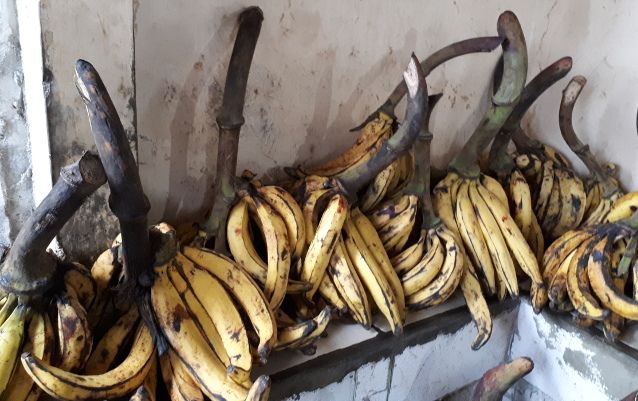 pisang goreng tanduk mpo nur