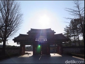 Rasakan Sensasi Liburan Luar Biasa di Korea Saat Musim Dingin