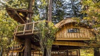 Raksasa software itu baru saja membangun beberapa rumah pohon sungguhan di markas besarnya di Redmond, Washington. Rumah pohon ini terutaam ditujukan untuk rapat para karyawannya. (Foto: Dok. Microsoft)