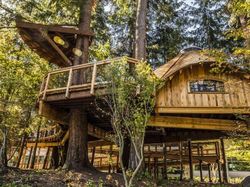 Begini Asyiknya Karyawan Microsoft Kerja di Rumah Pohon