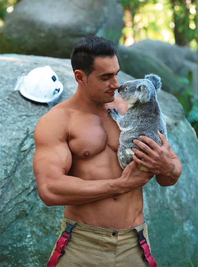 Petugas damkar tampan bersama koala. Ladies, mau jadi koalanya? Foto: Australian Firefighters Calendar
