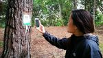 Foto: Hutan di Malaysia yang Punya WiFi