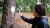 Apabila traveler melihat sekeliling, Anda akan mendapati pohon dengan kode scan. Cukup dengan memotret kode scan tersebut, traveler sudah langsung bisa mengakses informasi detil terkait pohon tersebut (Fashion Forest/Facebook)