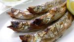 Ternyata Ini 10 Jenis Ikan yang Paling Disukai Orang Jepang!