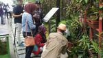 Foto: Hutan di Malaysia yang Punya WiFi