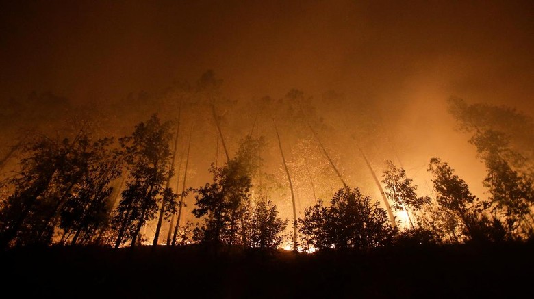 Korban Kebakaran Hutan di Portugal dan Spanyol Menjadi 34 Orang Korban Kebakaran Hutan di Portugal dan Spanyol Menjadi 34 Orang