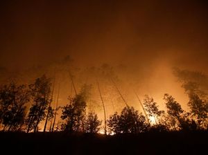 Ngeri! Kebakaran Besar Terjadi di Hutan Catalonia Spanyol