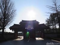 Rasakan Sensasi Liburan Luar Biasa di Korea Saat Musim Dingin