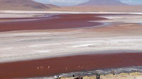 Satu lagi, Salar de Uyuni punya Laguna Colorado, dan Laguna Verde yang berdekatan, yang akan menghipnosis siapa pun yang berkunjung ke sana! (Sarah Duff/CNN)