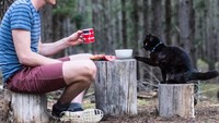 Rich memutuskan menjadi traveler karena dia bosan bekerja di perusahaannya. Pada tahun 2014 dia memutuskan untuk meninggalkan perusahaan, menjual rumah dan mengikuti pasionnya untuk menjadi seorang traveler (vancatmeow/Instagram)
