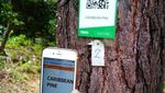Foto: Hutan di Malaysia yang Punya WiFi