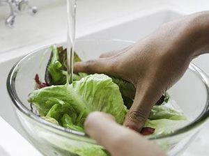 5 Tips Mudah Hilangkan Pestisida agar Sayuran Aman Dimakan