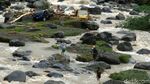 Proses Evakuasi Mobil dari Tengah Sungai Logawa
