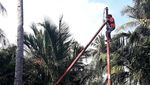 PLN Terangi Pulau Cantik di Provinsi Kepri